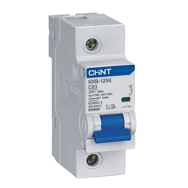 Chint 6kA 1P 125A Circuit Breaker D-Curve NXB-1P-D125-06
