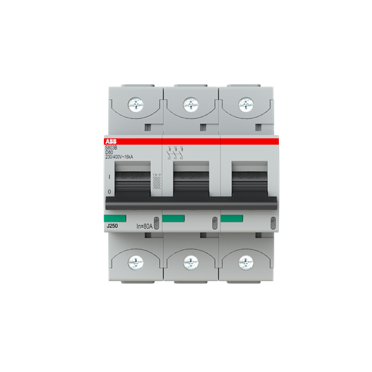 ABB S803B-D100 High Performance MCB 2CCS813001R0821