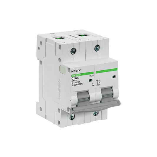 Chint PV DC Circuit Breaker 100A 2P 600V