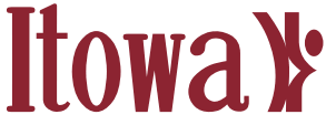 ITOWA Logo