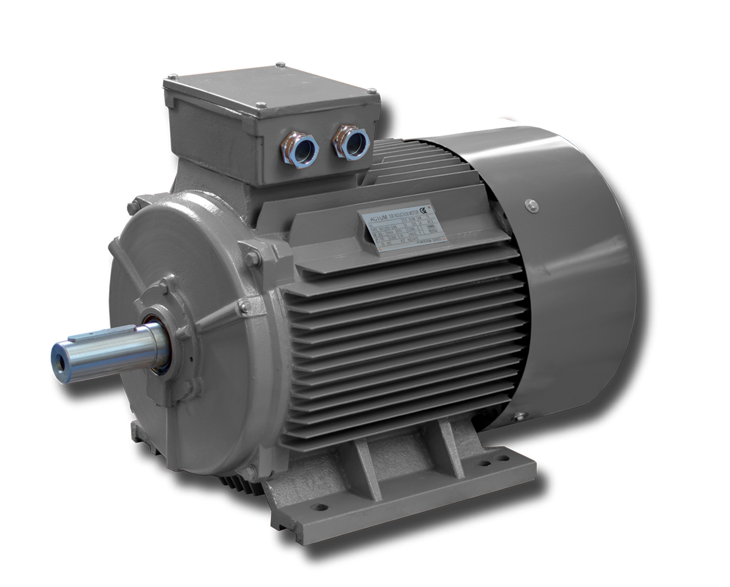 ACTOM 1.1KW 2-POLE 400V THREE PHASE FOOT MOUNT CAST IRON SQUIRREL CAGE MOTOR
