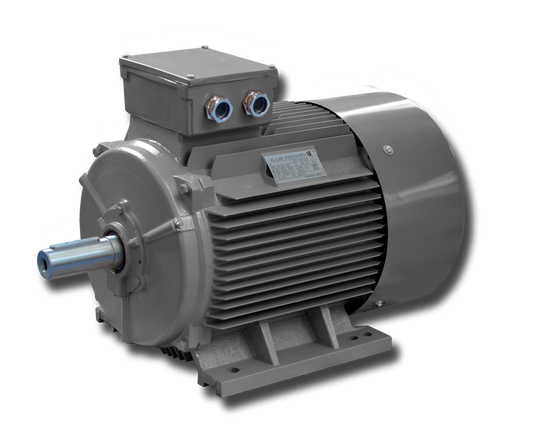 ACTOM 160KW 6-POLE 400V THREE PHASE  FOOT MOUNT CAST IRON SQUIRREL CAGE MOTOR
